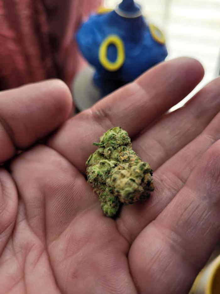 Curaleaf Dispensary Altoona - Altoona, PA