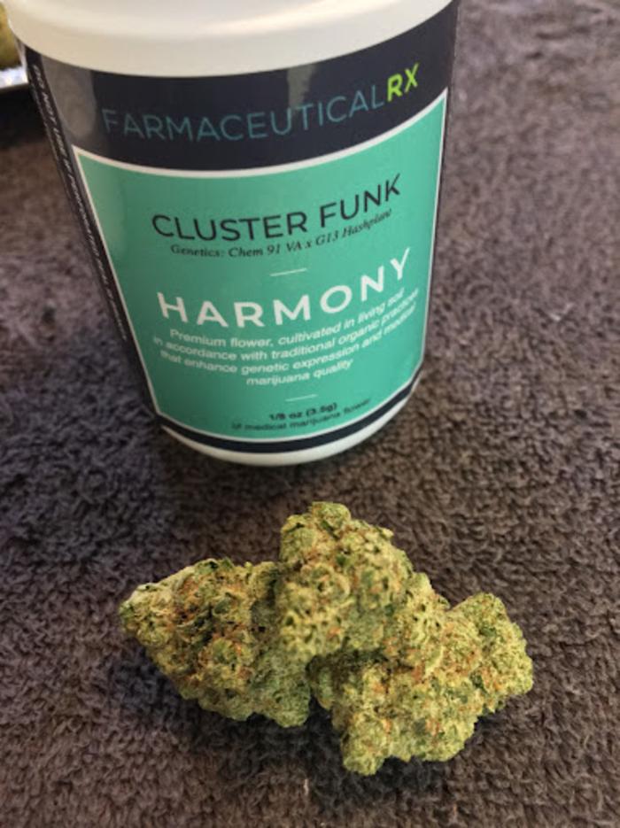 Curaleaf Dispensary Altoona - Altoona, PA