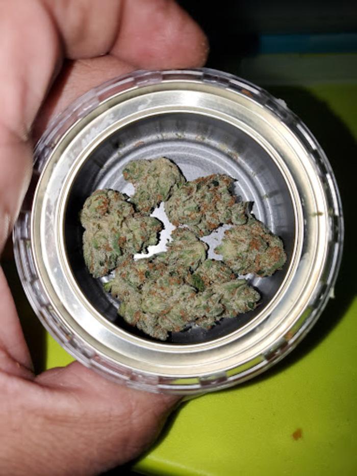 Curaleaf Dispensary Altoona - Altoona, PA