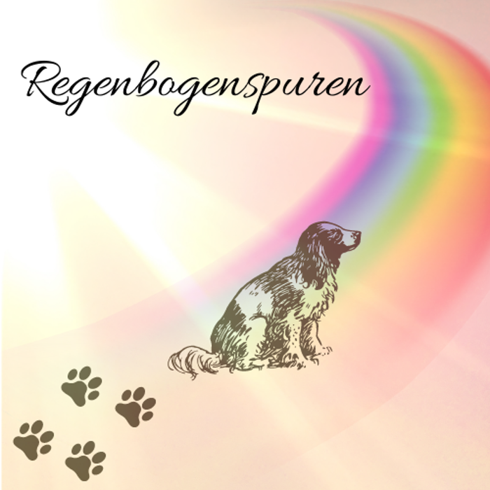 Bild zu Regenbogenspuren in Berlin Bild zu Regenbogenspuren in Berlin