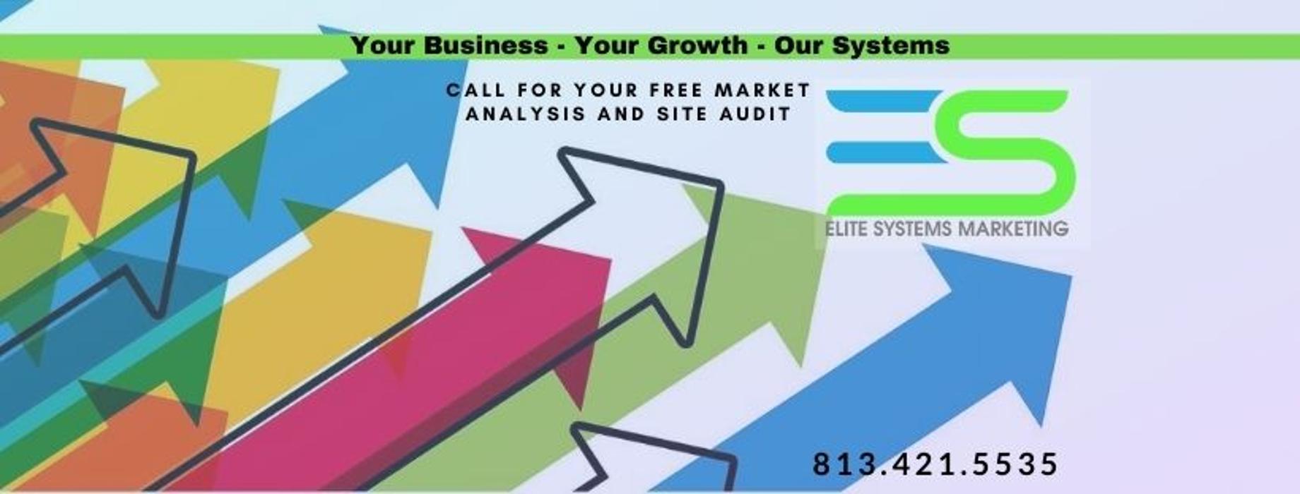 Elite Systems Marketing - Brandon, FL