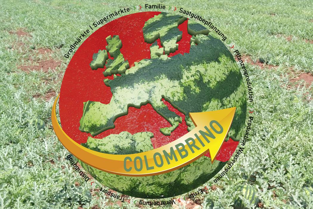 Colombrino Group GmbH in Mainz