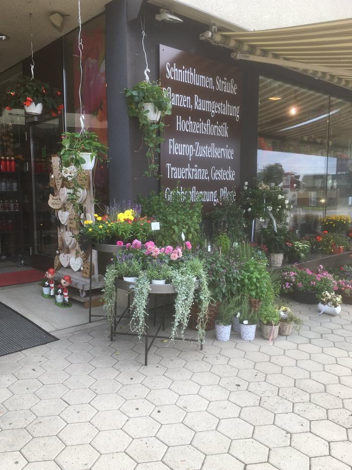 Hochl Floristik, Triester Straße in Graz