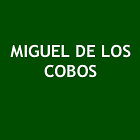MIGUEL DE LOS COBOS
