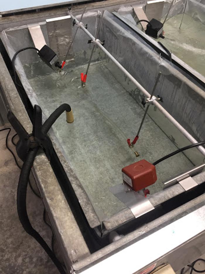 Krystal Creations Ice Art - Liberty, MO