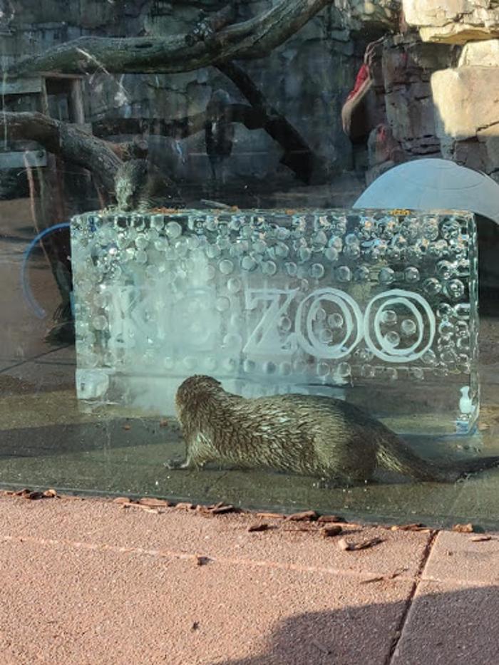 Krystal Creations Ice Art - Liberty, MO