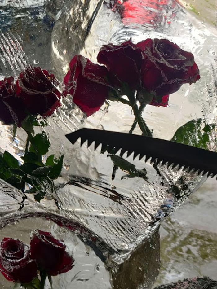 Krystal Creations Ice Art - Liberty, MO