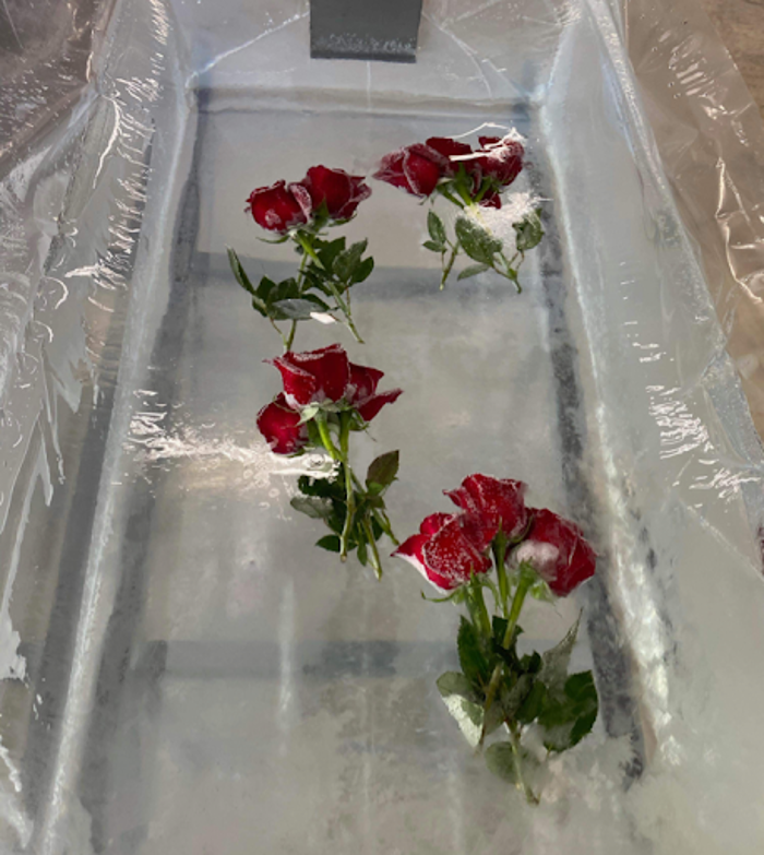 Krystal Creations Ice Art - Liberty, MO