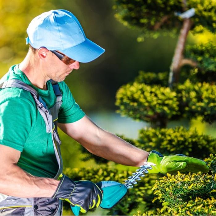 Pao Insurance - Huntington Park, CA