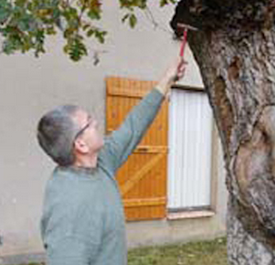 galerie image galerie image