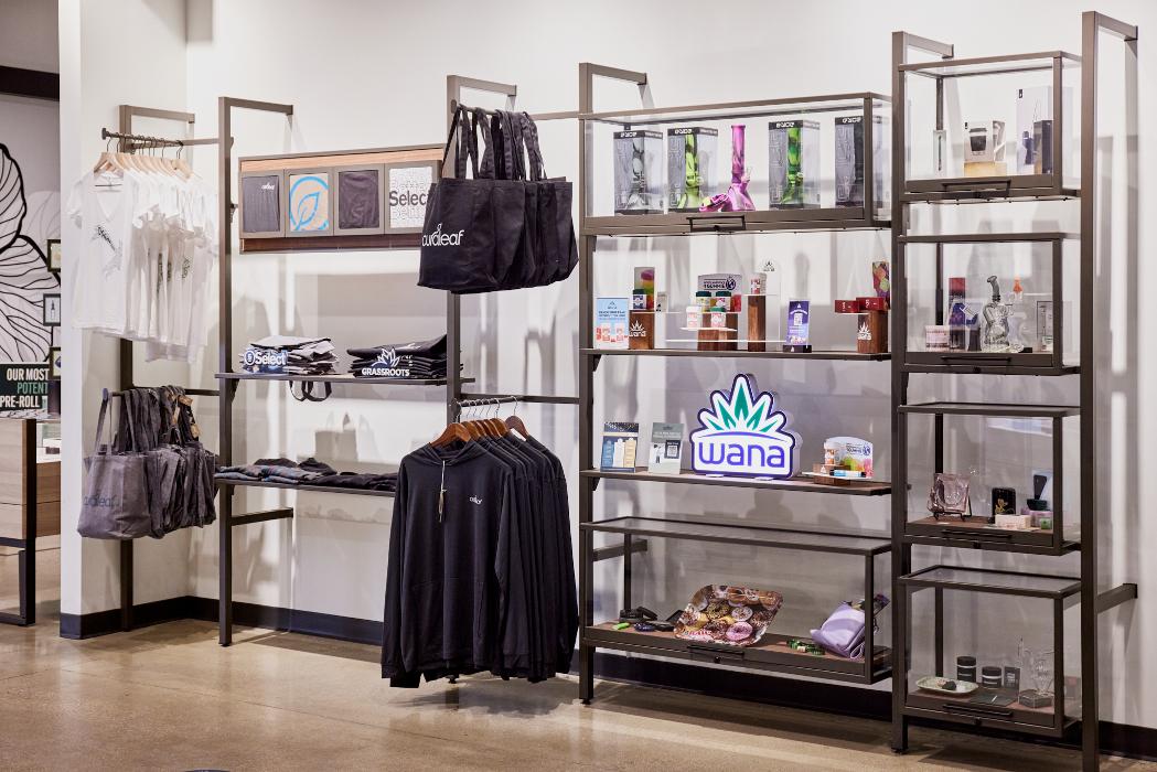 Curaleaf IL Melrose Park Dispensary - Melrose Park, IL