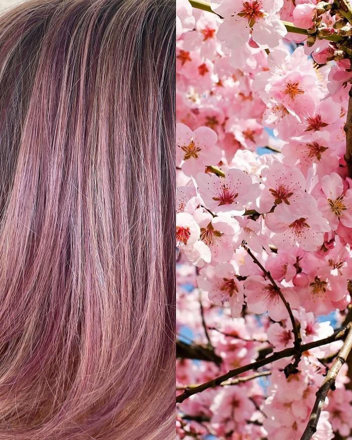 Aveda Institute Tucson - Tucson, AZ