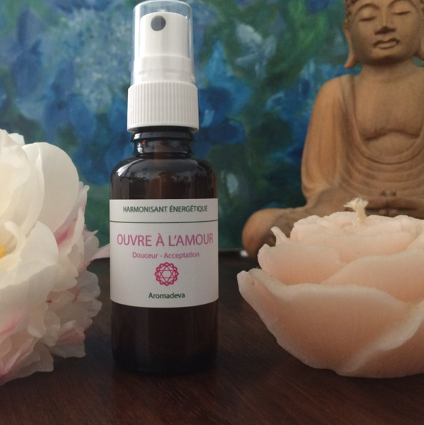 Carole Robert Aromadeva Pole Bien-être 64 institut de beauté