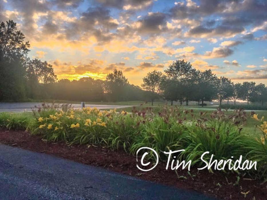 Timbers Golf Club - Vassar, MI