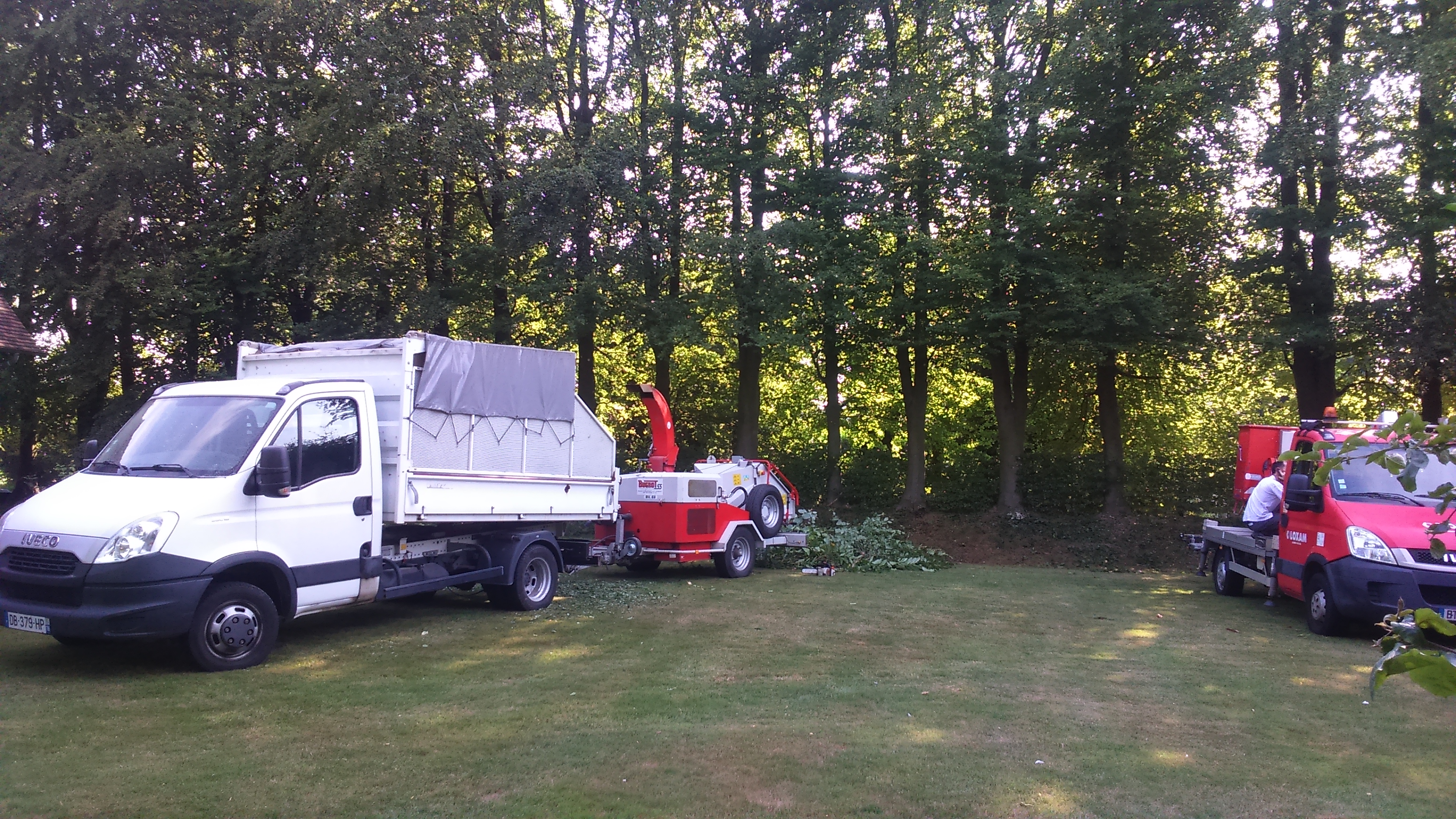 Miniature de la galerie