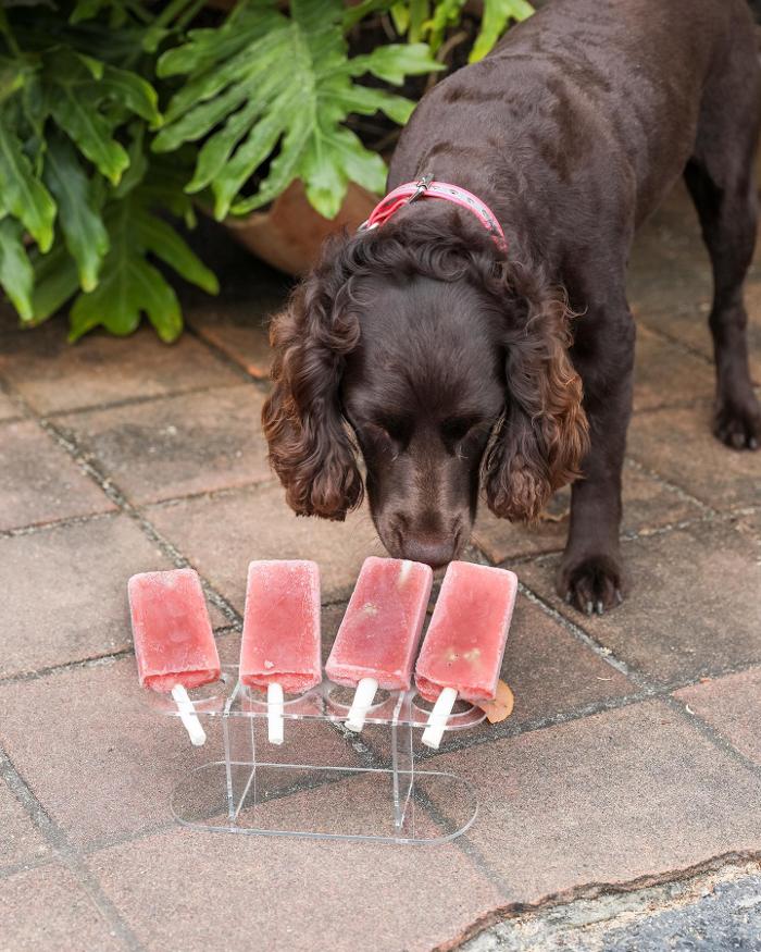 Swell Pops - Destin, FL