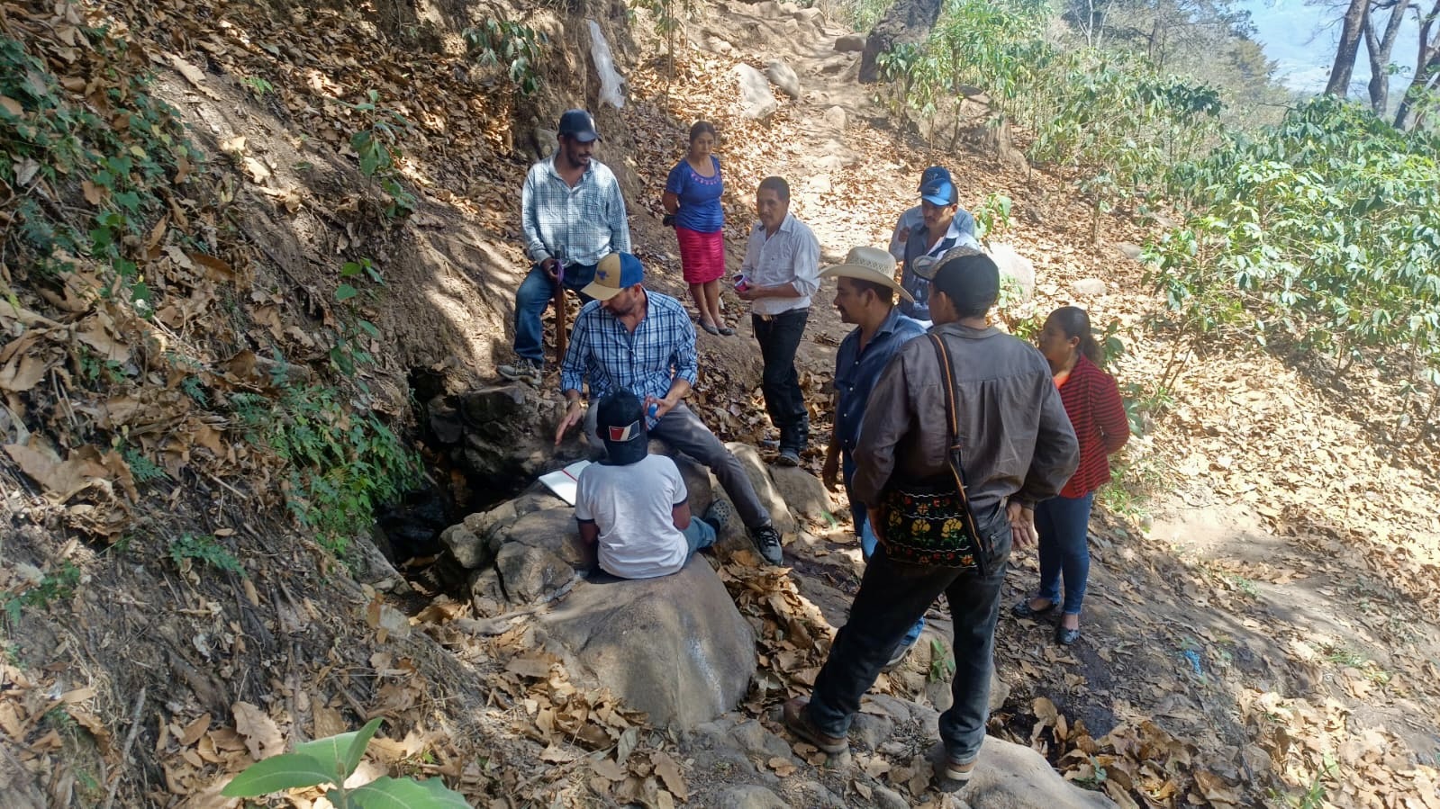 Galería en miniatura