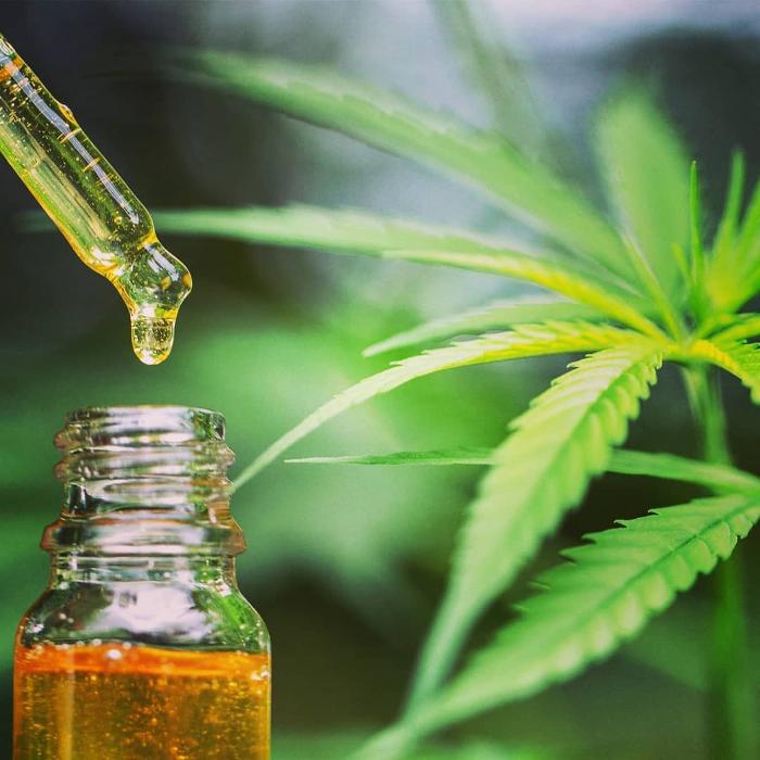 Wisteria Body Work - Kent, WA