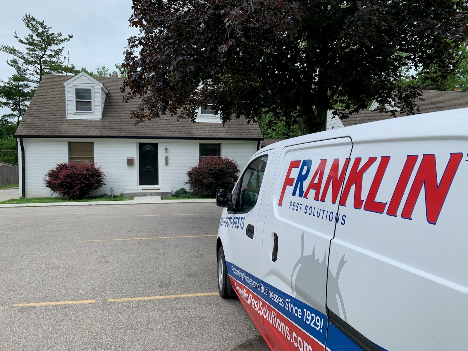 Image 6 | Franklin Pest Solutions