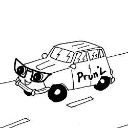 Prunelle Optique Expert