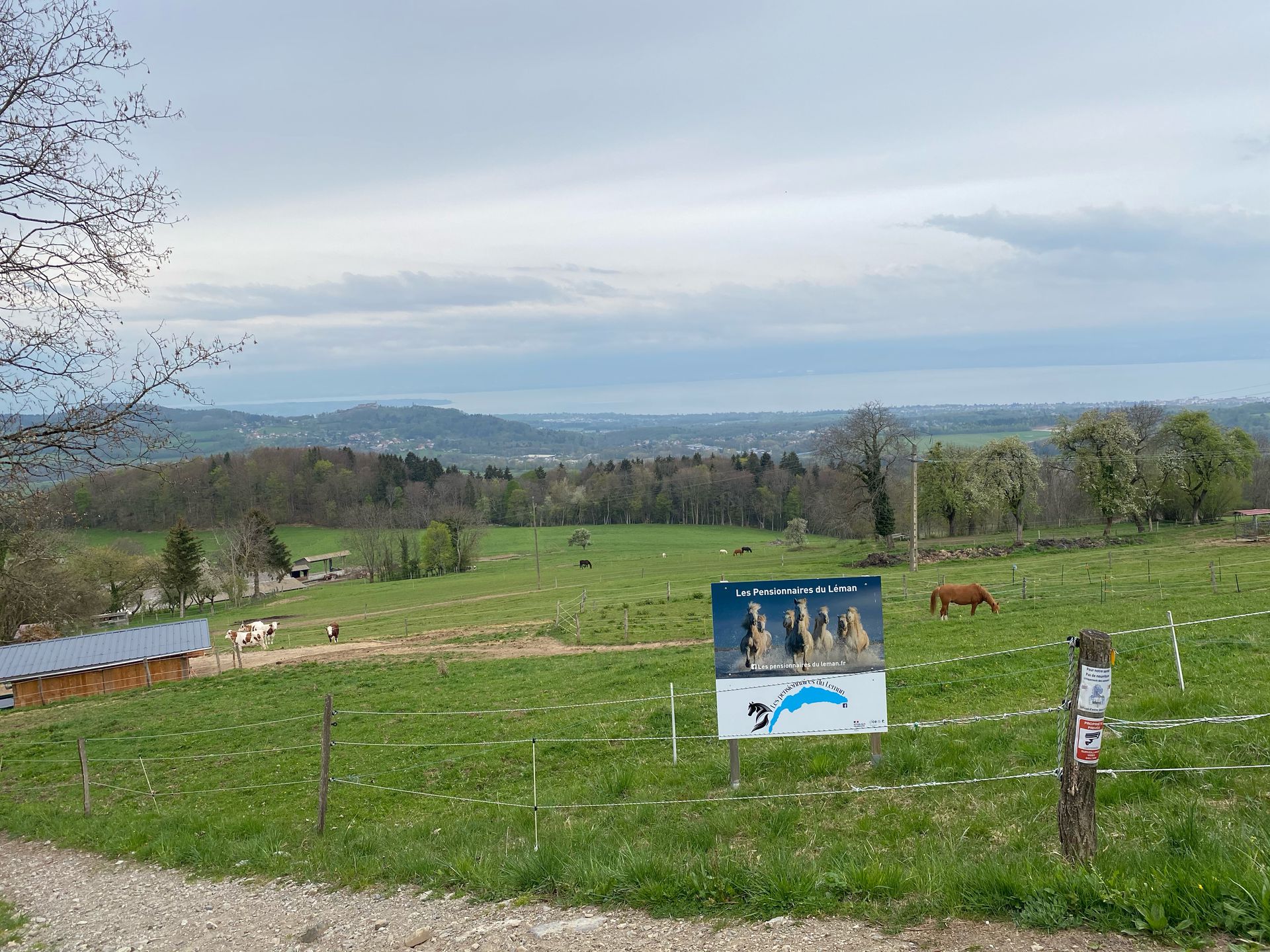 galerie image