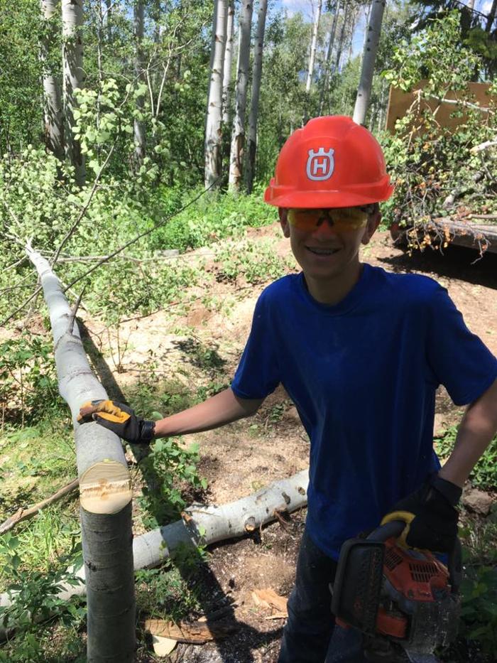 Rusty's Tree Service LLC - Thayne, WY