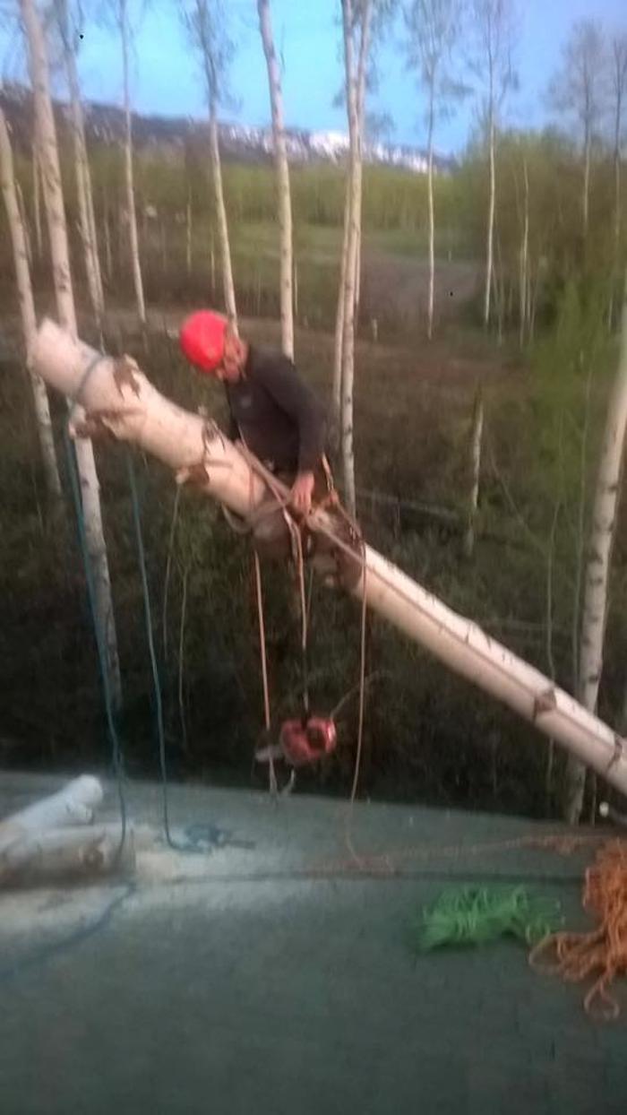 Rusty's Tree Service LLC - Thayne, WY