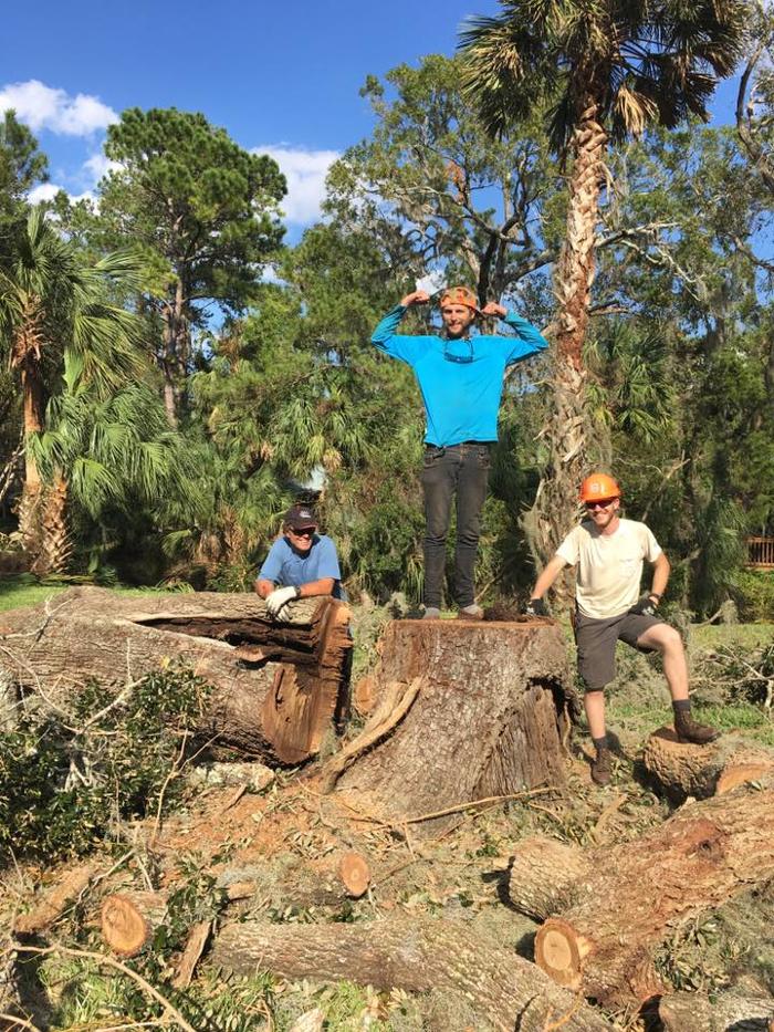 Rusty's Tree Service LLC - Thayne, WY