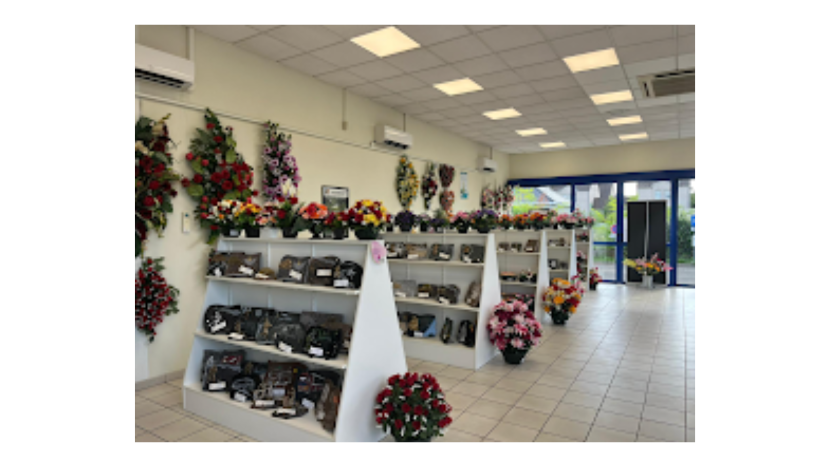 galerie image