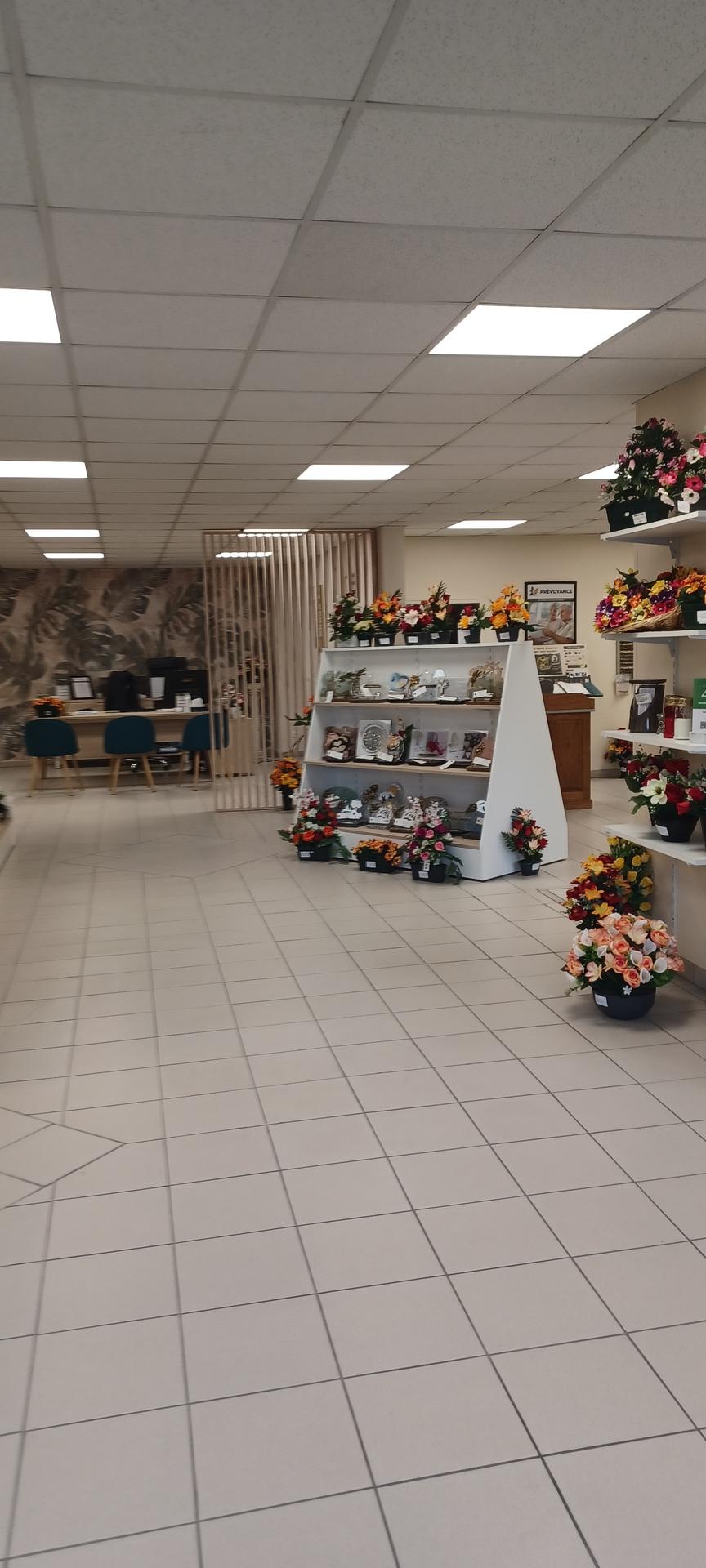 galerie image