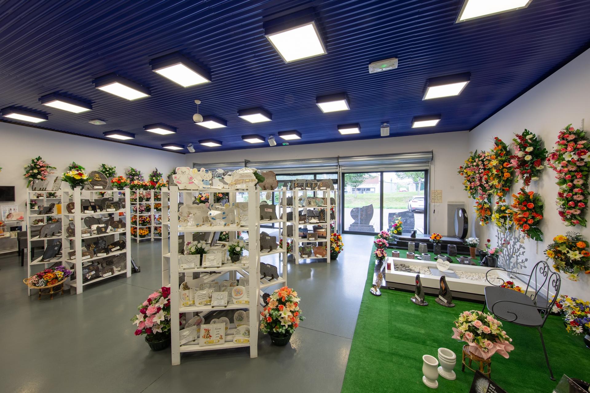 galerie image