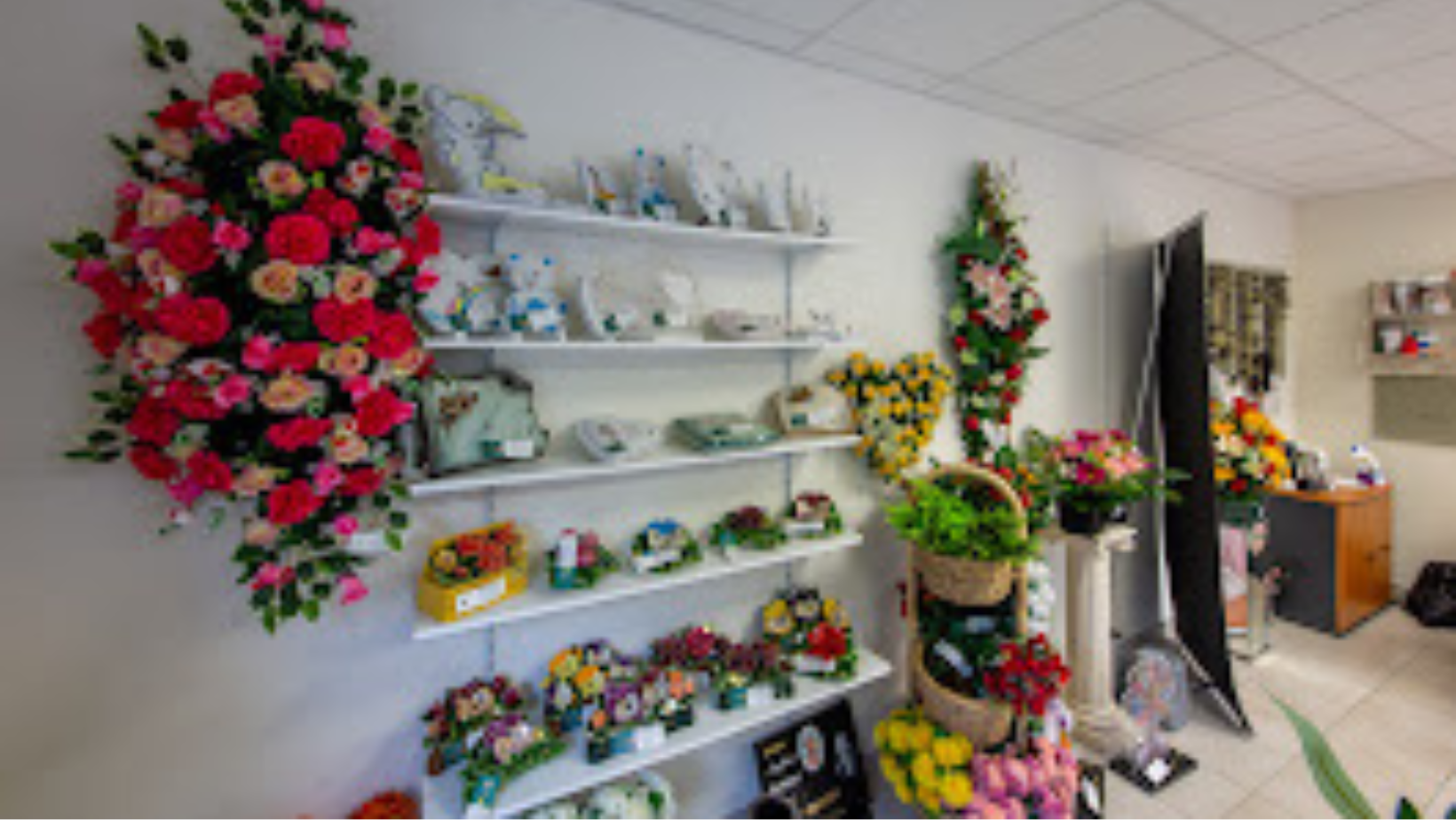galerie image