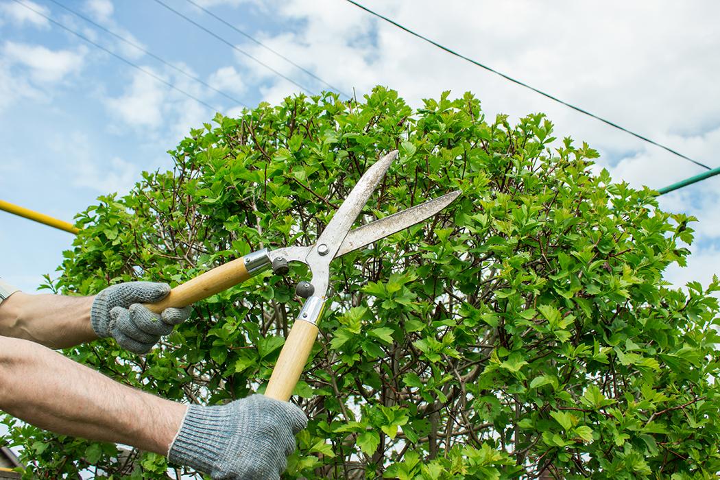 All Affordable Yard Maintenance - Riverside, CA