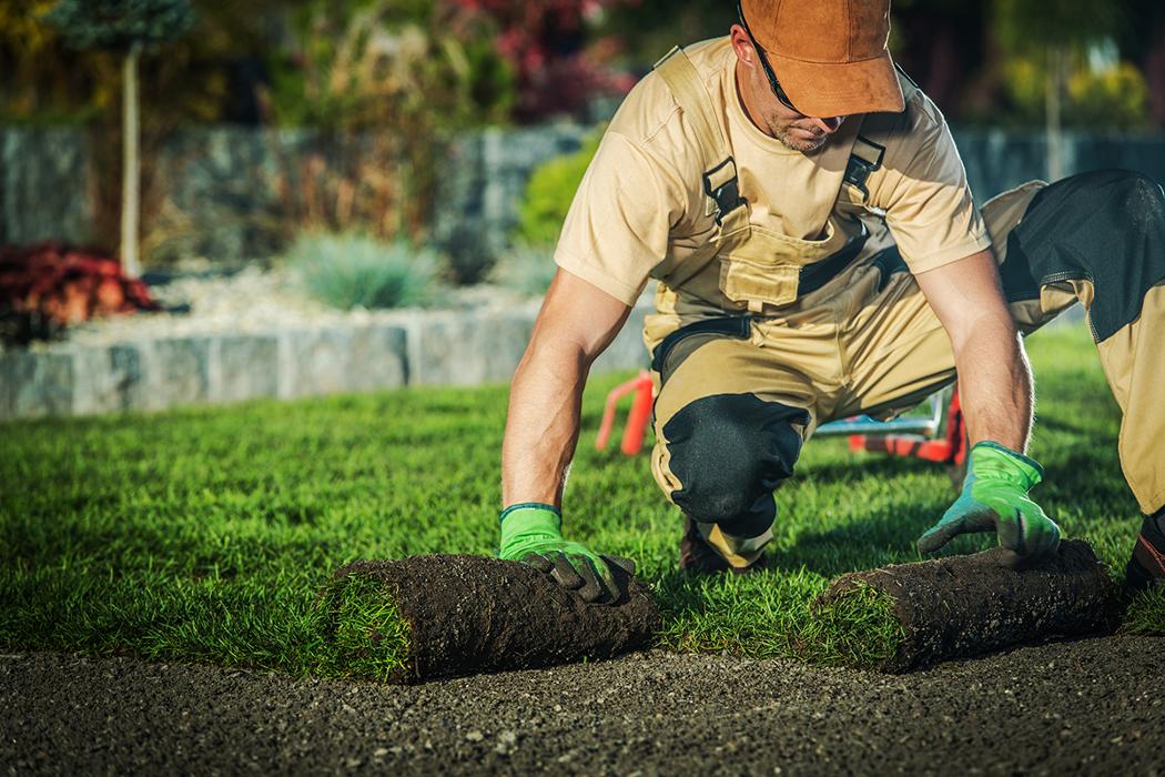 All Affordable Yard Maintenance - Riverside, CA