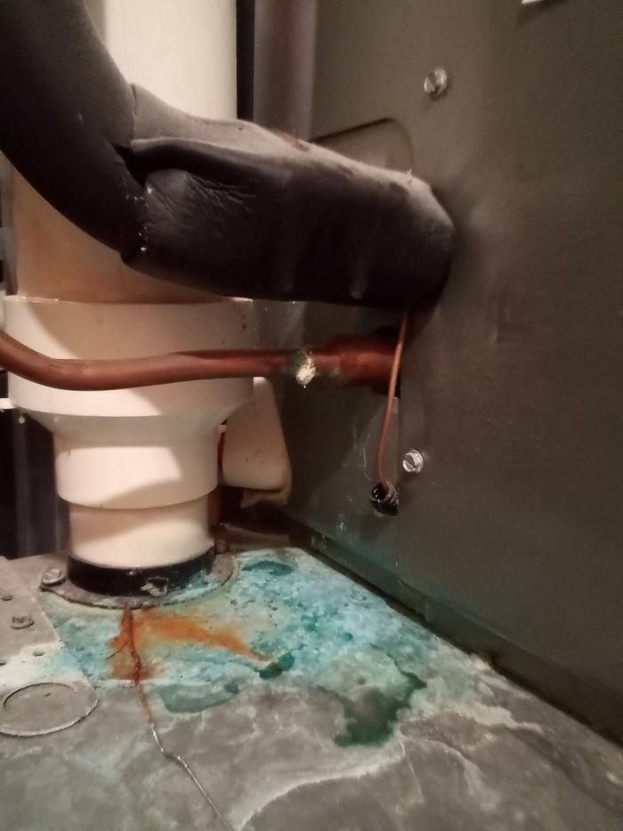 LJH Inspections - Stanchfield, MN