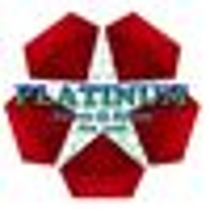 Platinum Paver and Stone LLC Logo