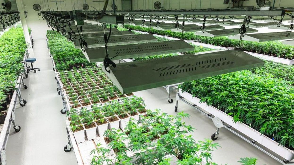 Garden Remedies Marijuana Dispensary - Marlborough, MA