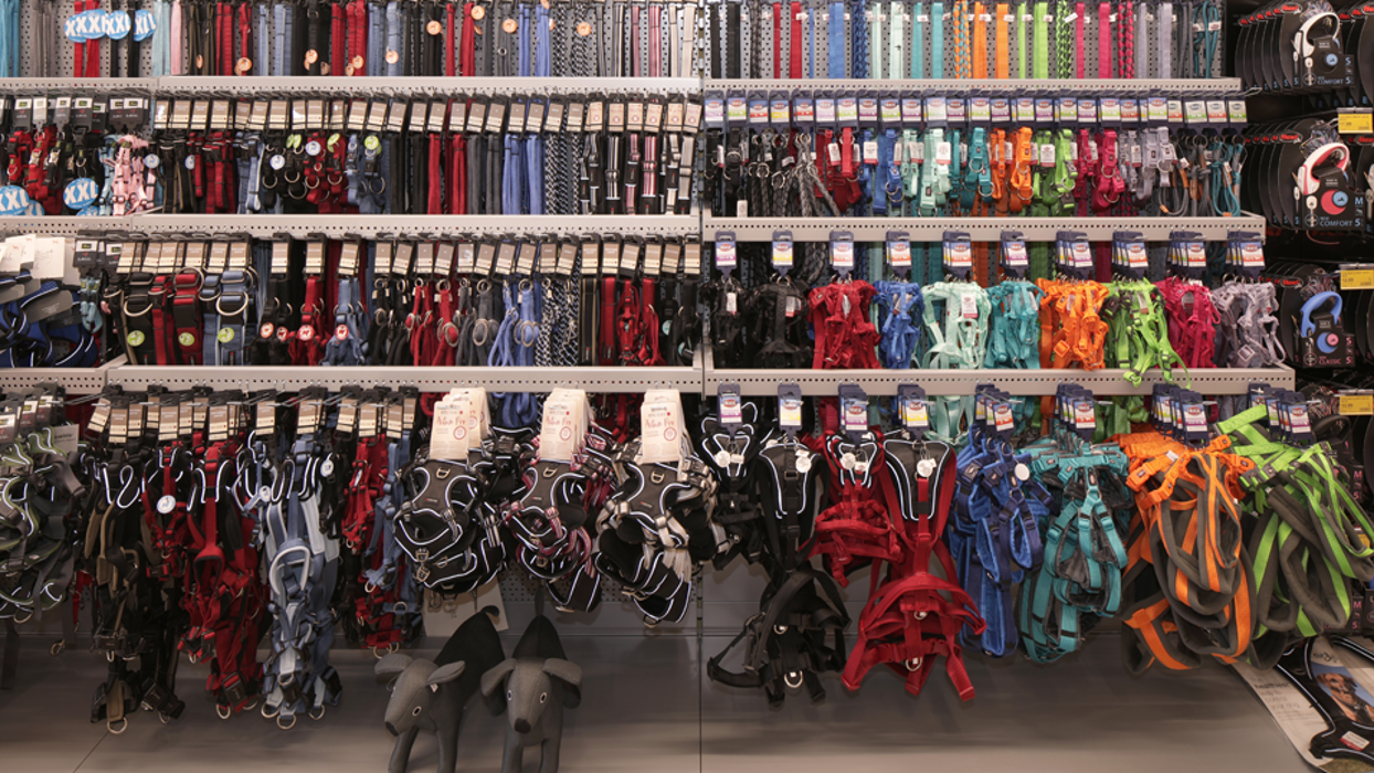 DAS FUTTERHAUS - Querfurt, Döcklitzer Tor in Querfurt