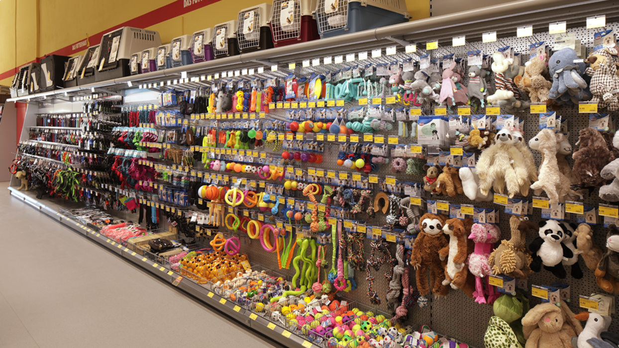 DAS FUTTERHAUS - Querfurt, Döcklitzer Tor in Querfurt