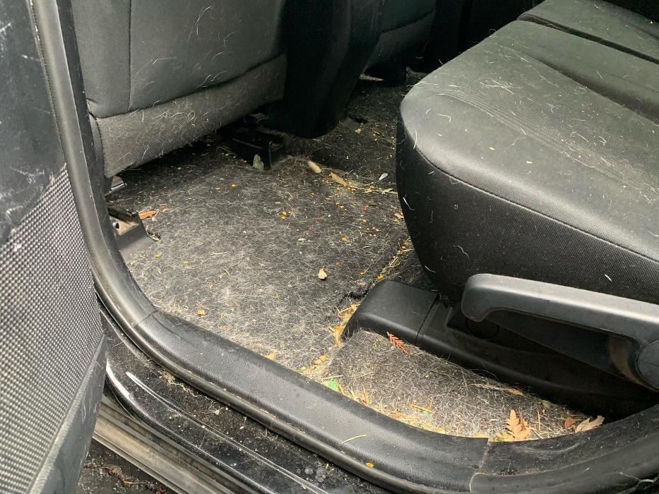 Devils In Detail - Napa, CA