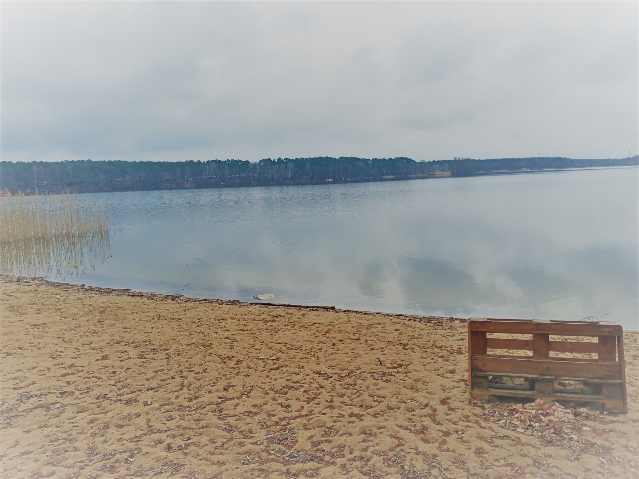 Fotos - Gaia Kindercamps - 12