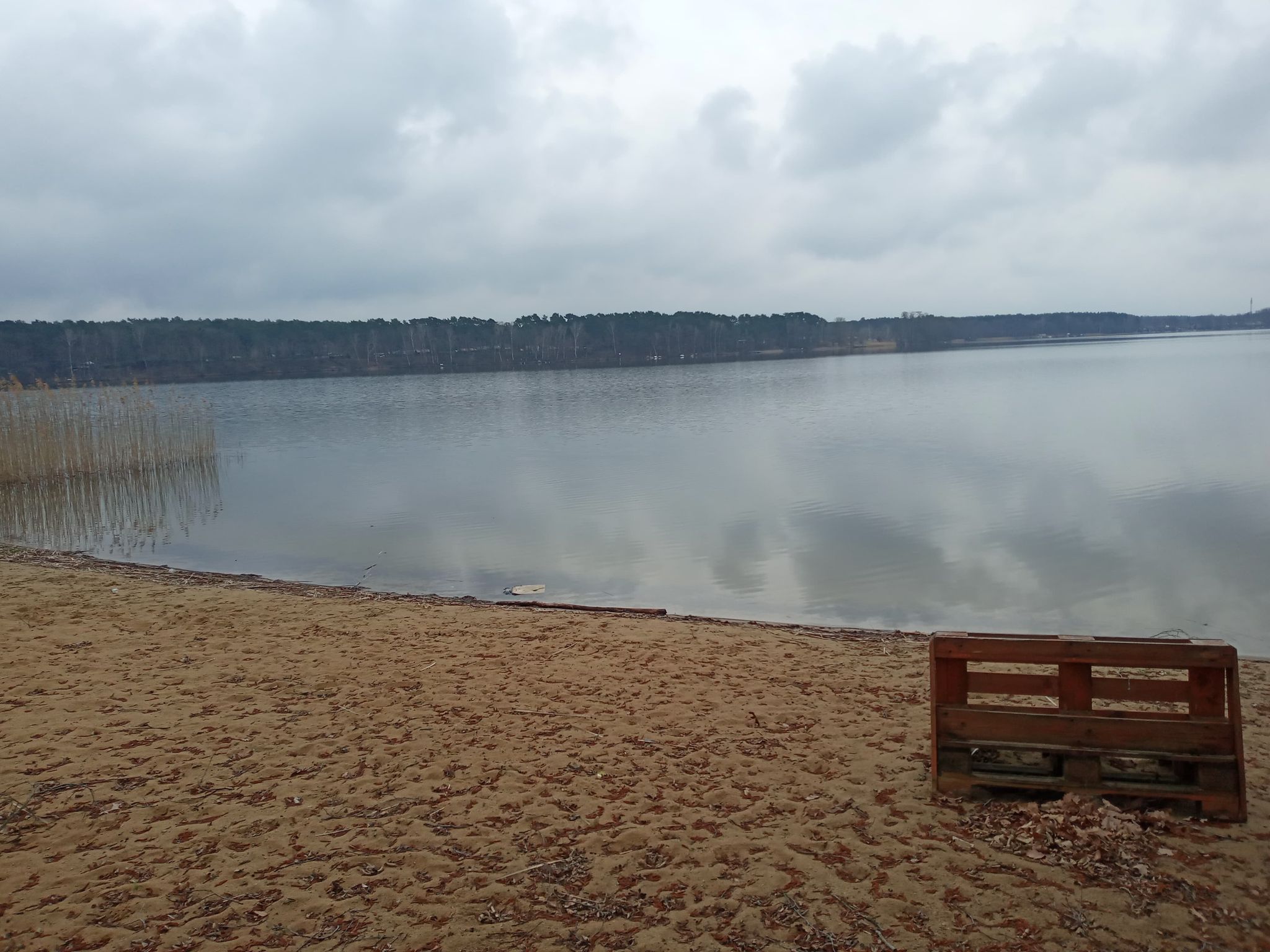 Fotos - Gaia Kindercamps - 10