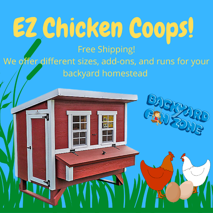 Backyard Fun Zone - Martin, MI