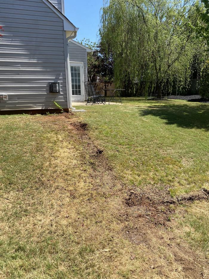 Blu Rhino Junk Removal - Pelzer, SC