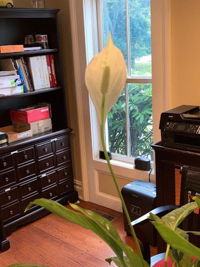 Beninati Associates - Southold, NY