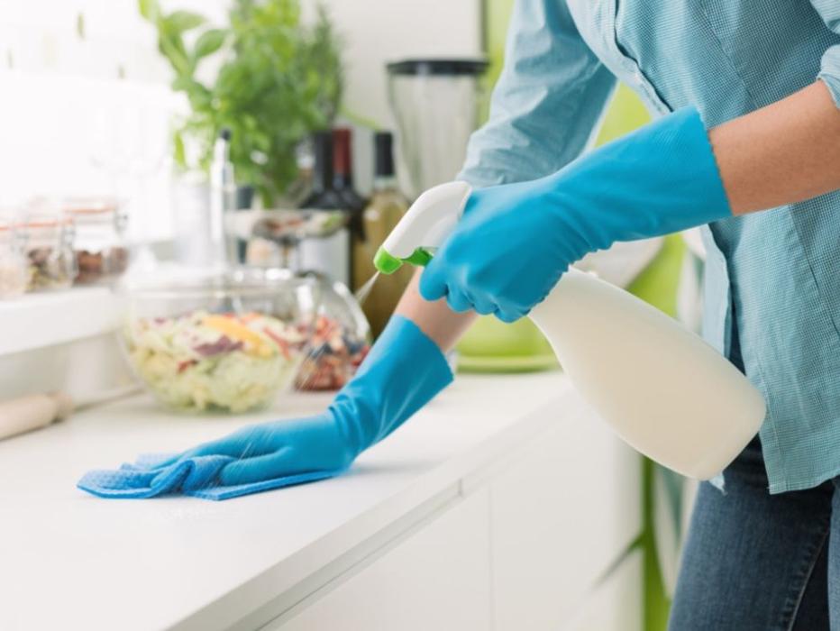 The Cleaning Clinics - Clermont, FL