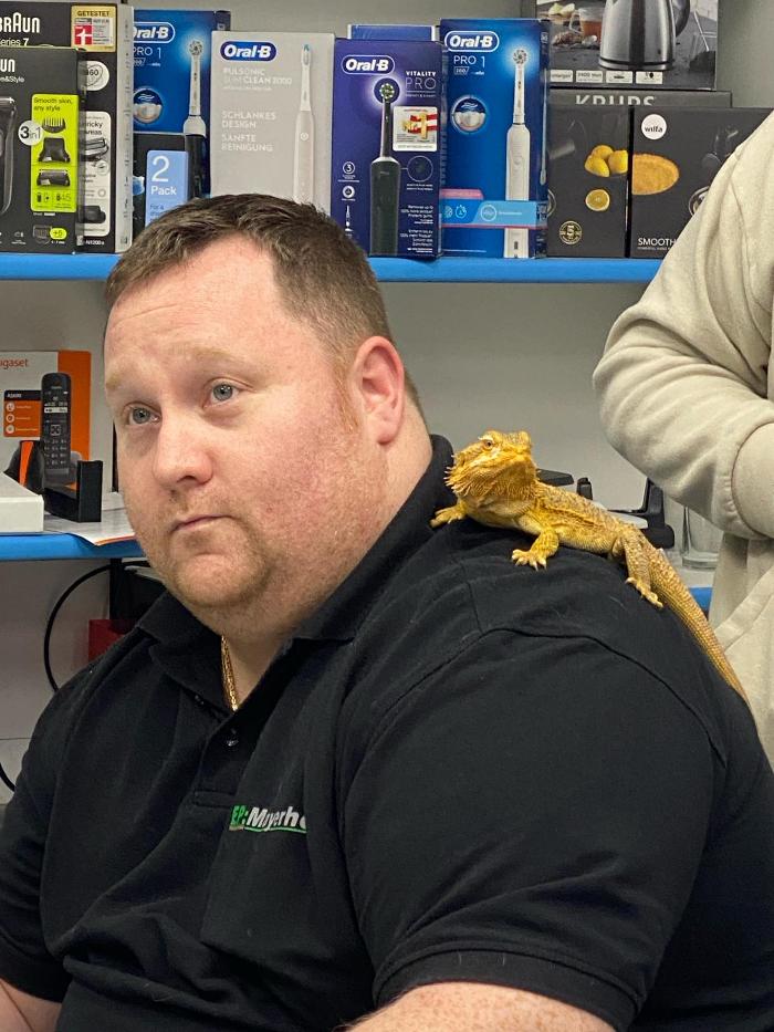 EP:Mayerhofer, Schönbrunner Straße in Wien