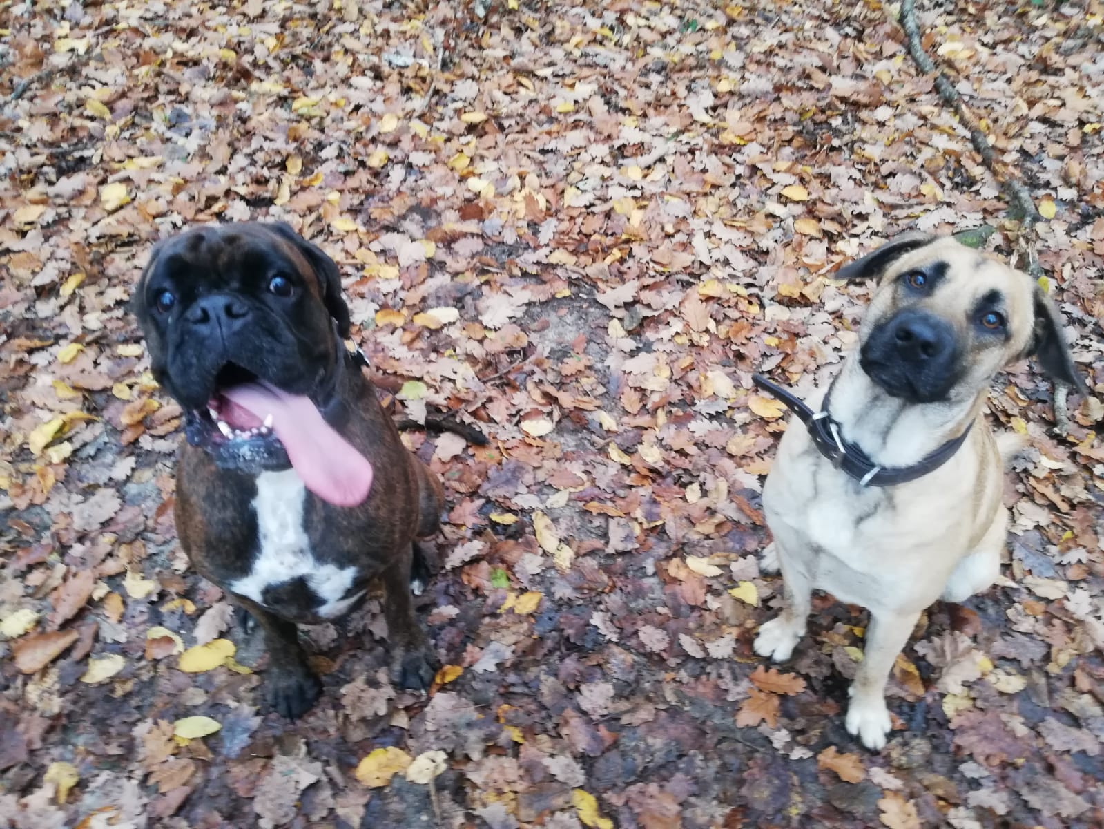 Miniature de la galerie