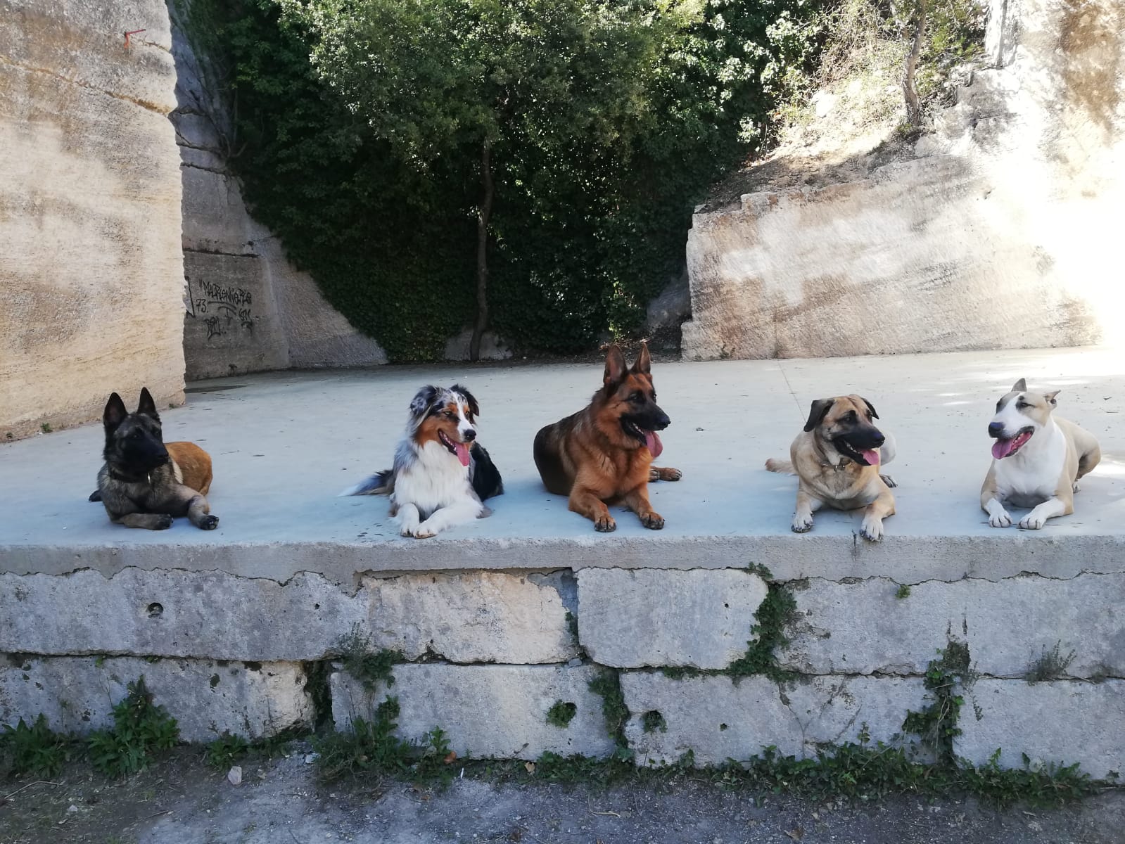 Miniature de la galerie