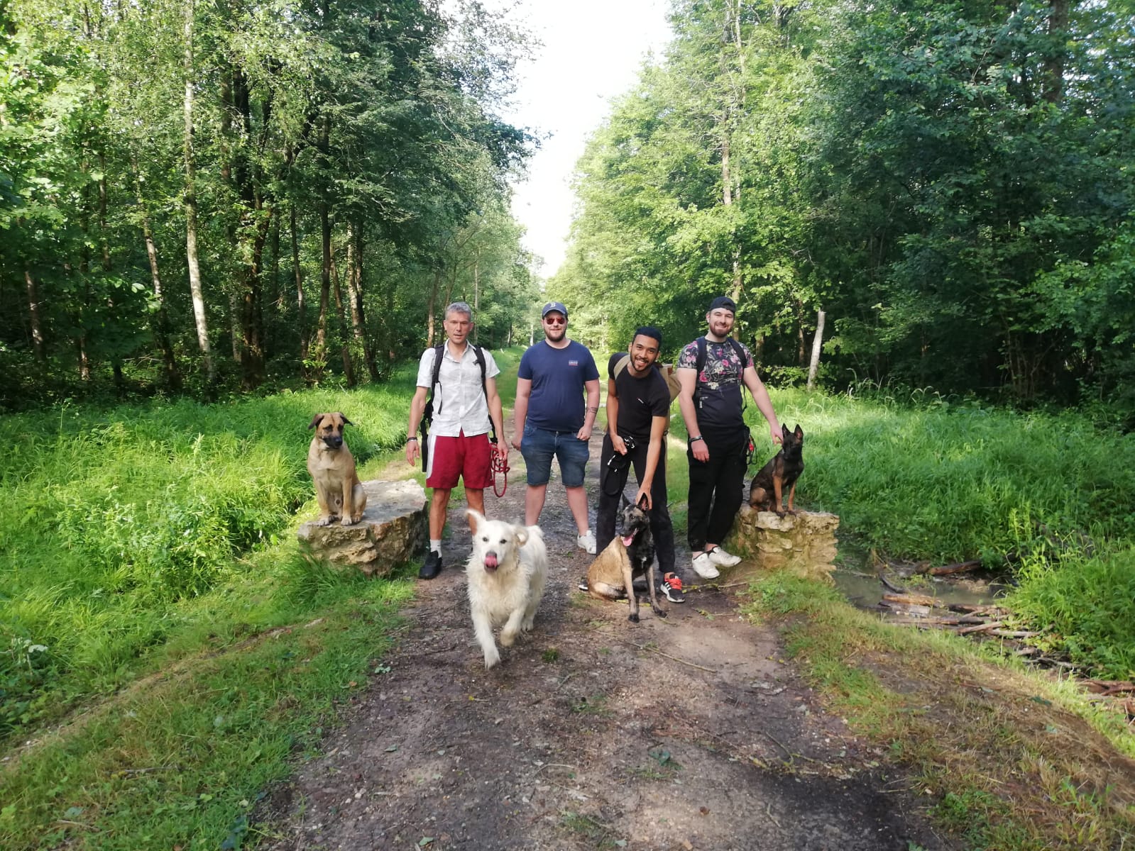 Miniature de la galerie